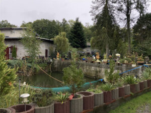 Bild3