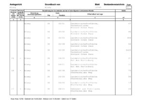 Grundbuch_Seite_8