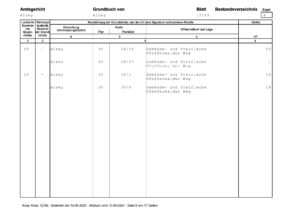 Grundbuch_Seite_9