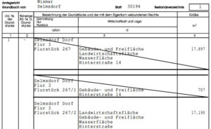 Auszug_Grundbuch_Flurstücke
