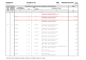 Grundbuch_Seite_4