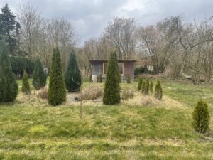 Garten mit Laube