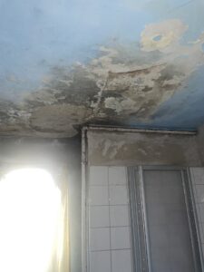 Feuchtigkeitsschäden