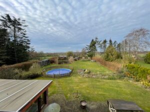 Blick über den Garten