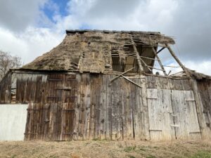 Verfallene Scheune mit Reetdach
