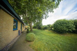 Garten hinten
