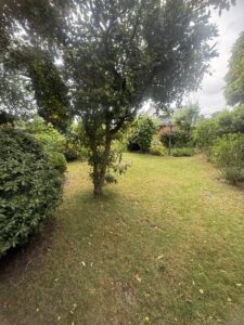 Garten vorne